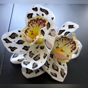 Leopard Print Orchid hair flower